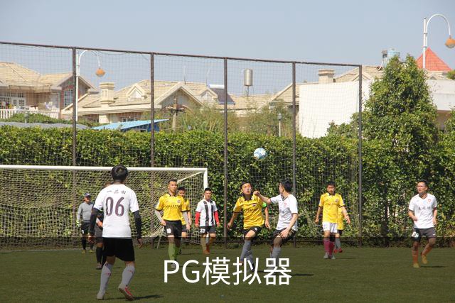 PG模拟器公司简介